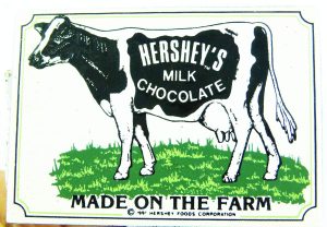 Hershey's Milk Chocolate Miniature Enamel Magnet, 2 1/2 X 1 3/4".