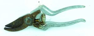 Taiwan Garden Cutter.