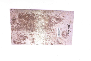 Kunz Germany scraper blade, 2 3/4" wide x 4 7/8" long